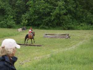 Lucinda Green Photo Report