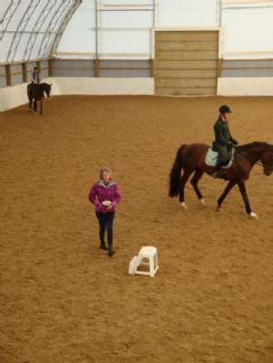 Mary Wanless Clinic Report